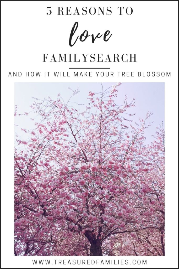 5 Reasons to love FamilySearch and how it will make your tree blossom